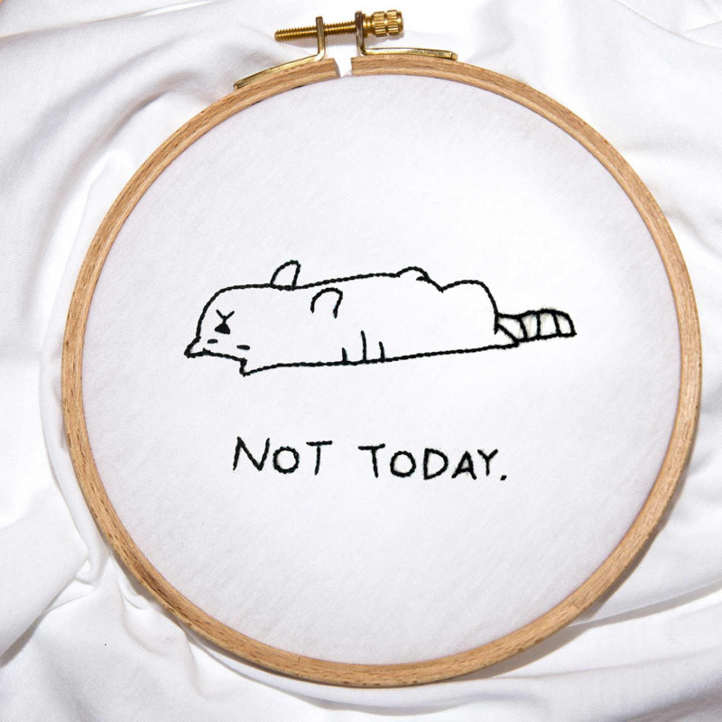 The Not Today Cat